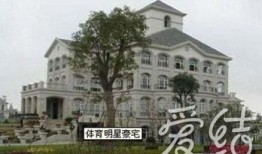 辛巴豪宅爆料视频,奢华程度令人咋舌，网友直呼“壕无人性”！