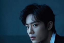 王源爆料王菲是哪一期视频,王菲现身哪一期视频引发热议