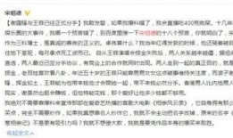 卓伟爆料王菲谢霆锋视频,王菲谢霆锋甜蜜视频曝光，复合传闻再起波澜